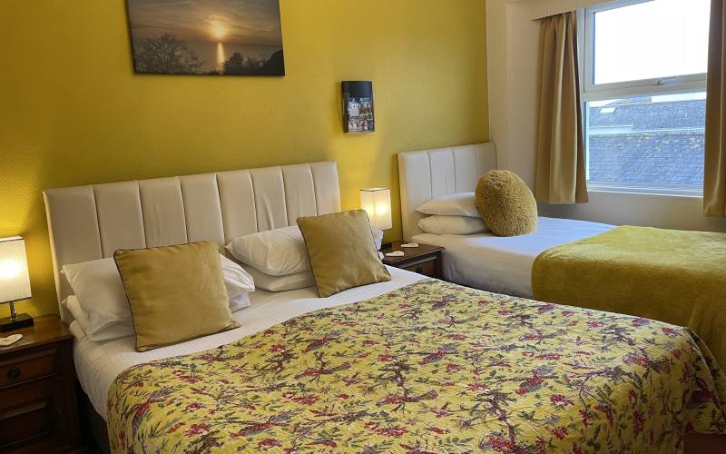 Babbacombe Palms Guest House image